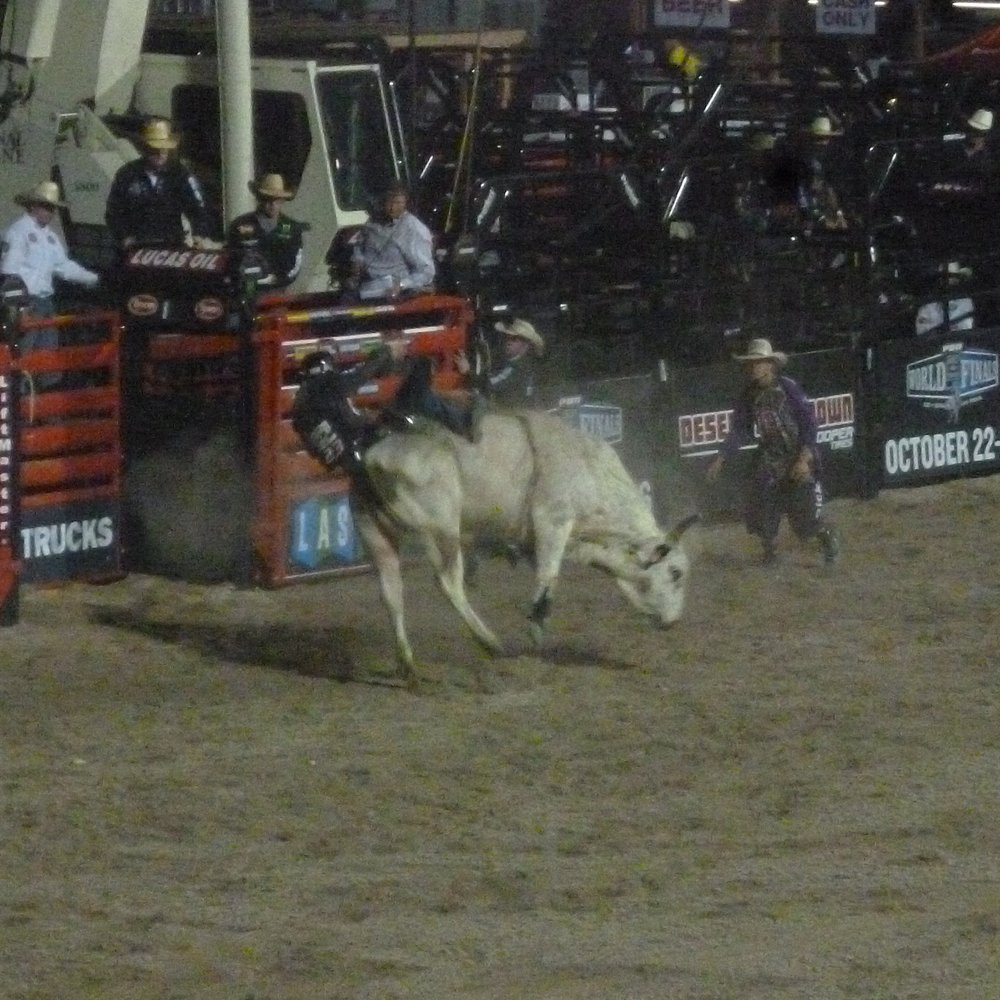 Laughlin Event Center - Coming Unseated From a Bucking Bull - Music Venues Near Me - Laughlin, Nevada Laughlin Event Center - Coming Unseated From a Bucking Bull - Music Venues Near Me - Laughlin, Nevada