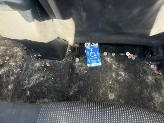 Fabulous Freddy’s by null