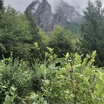 Bybee Farms - Beautiful area - Farms Near Me - North Bend, Washington