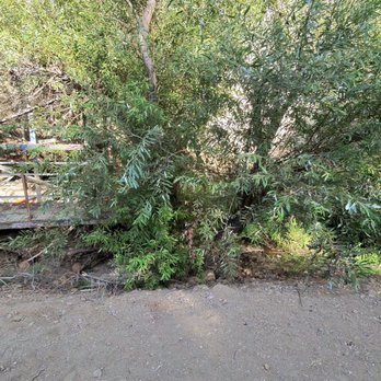 Temescal Gateway Park - Parks Near Me - Pacific Palisades, California Temescal Gateway Park - Parks Near Me - Pacific Palisades, California