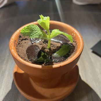 La Diosa Taqueria - Desert - Mexican Near Me - Miami, Florida