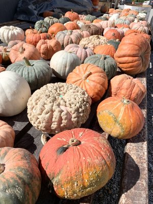 Westervelt Farms by null