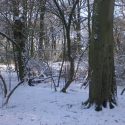 Woolton Woods and Camp Hill