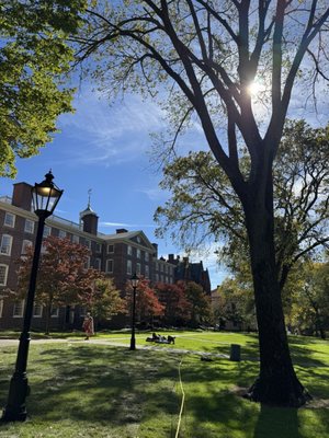 Brown University by null