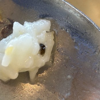 Cafe Orchid - Bug in baked rice - Chinese Near Me - Millbrae, California