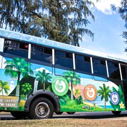 Island and You - Cruise around the island in a luxury, air-conditioned, wifi-equipped shuttle.