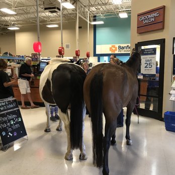 PetSmart - Pet Training Near Me - Germantown, Maryland PetSmart - Pet Training Near Me - Germantown, Maryland