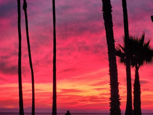 Blackie's By the Sea by null