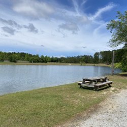 Rocky Hock Campground - Our view of the pond! Lots of swans and birds around to keep our cats entertained