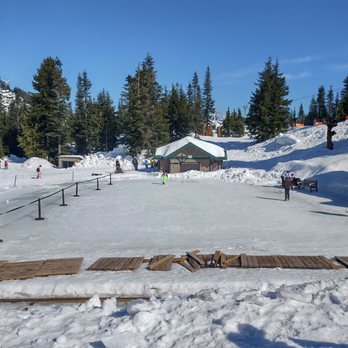 Grouse Mountain - Hiking Near Me - North Vancouver, British Columbia