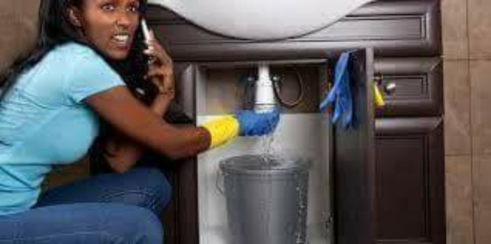 Slide of Nate The Snake