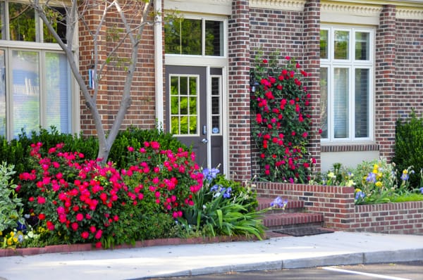 Family Chiropractic of Springfield