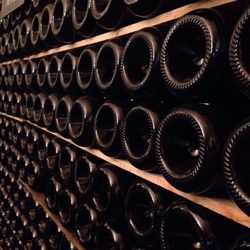 Bodega Celler Carol Valles - Rima