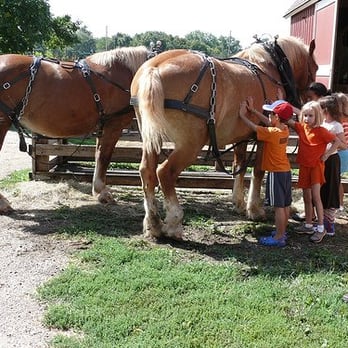 Historic Wagner Farm - Farmers Market Near Me - Glenview, Illinois Historic Wagner Farm - Farmers Market Near Me - Glenview, Illinois