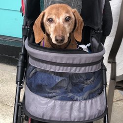 Luther Inn Retreat Center - Noel :) pet-friendly