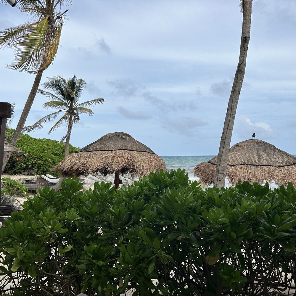 Restaurant Piedra Escondida - Ocean - Seafood Near Me - Tulum, ROO Restaurant Piedra Escondida - Ocean - Seafood Near Me - Tulum, ROO