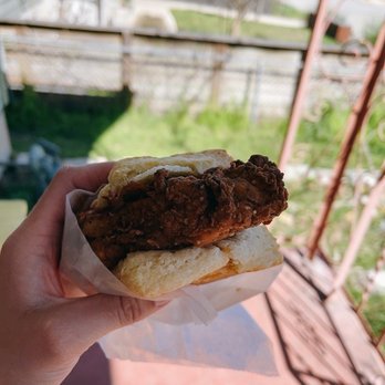 Bird Bird Biscuit - Chicken Queen Beak Sandwich - Breakfast & Brunch Near Me - Austin, Texas Bird Bird Biscuit - Chicken Queen Beak Sandwich - Breakfast & Brunch Near Me - Austin, Texas