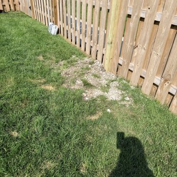 GoldHammer Fence - Fences & Gates Near Me