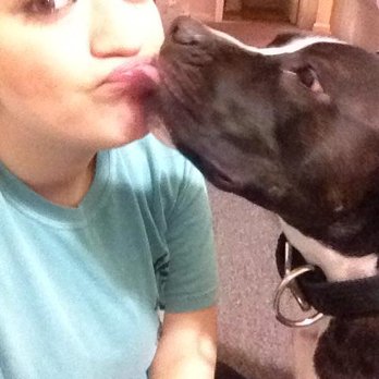 Pet Sitting by Ines - Kisses from Ava! - Pet Sitting Near Me Pet Sitting by Ines - Kisses from Ava! - Pet Sitting Near Me