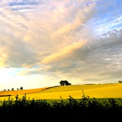 The Chesnut Horse - The road to Easton in the evening