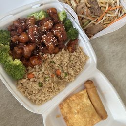 Lunch special peeking pork and rice and dinner chow mein