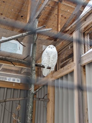 Canadian Museum of Nature / Musée canadien de la nature by null