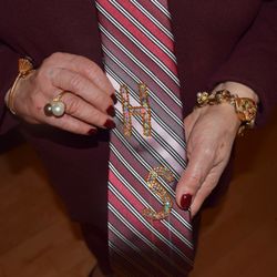 Madison Square Garden - My granddaughter who was at the show with me Bedazzled this tie for me to wear to the concert.