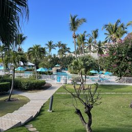 Elysian pool Elysian pool