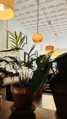 Odd Fox Coffee by null