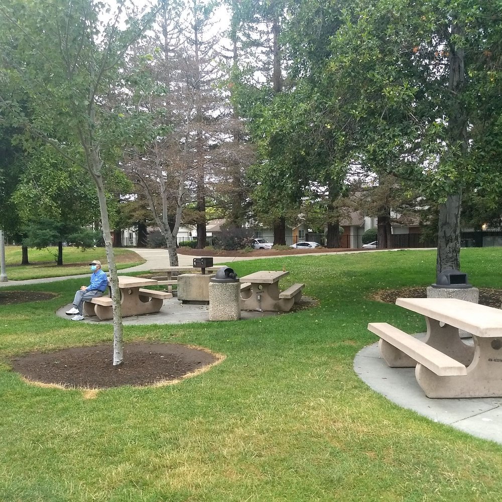 Serra Park - one of multiple picnic areas with bbq grills. Reservation required from the City - Parks Near Me - Sunnyvale, California Serra Park - one of multiple picnic areas with bbq grills. Reservation required from the City - Parks Near Me - Sunnyvale, California