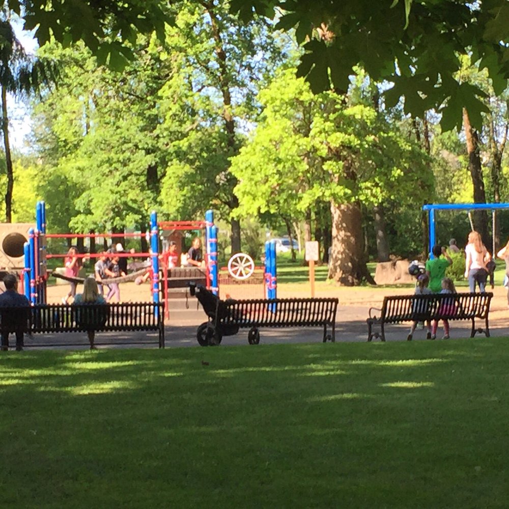 Cook Park - Parks Near Me - Tigard, Oregon Cook Park - Parks Near Me - Tigard, Oregon