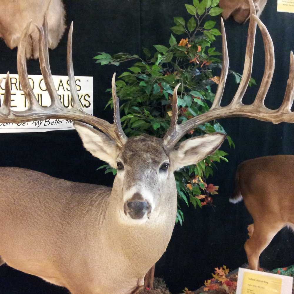 Double Diamond Deer Ranch - Zoos Near Me - Clarington, Pennsylvania
