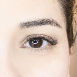 Blue Geisha Lashes - Fluffy texture, Medium volume