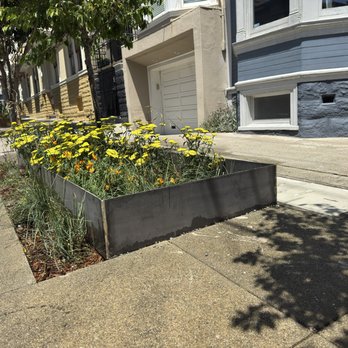 Smartscaping - Steel edging/planter - Landscaping Near Me - Berkeley, California