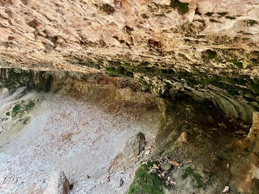 Mossy Cave Trailhead by null