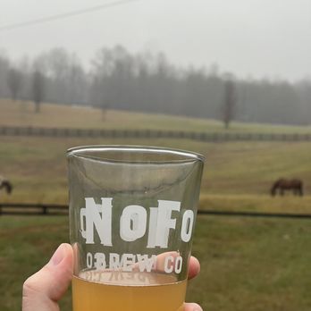 NoFo Brew - a person holding a glass of beer - Beer Bar Near Me - Cleveland, Georgia