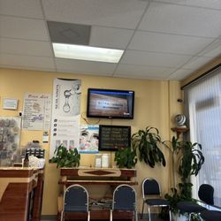 City Nail - Interior