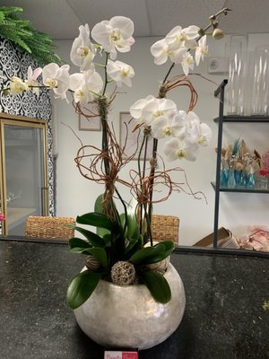 Prevatte Florist by null