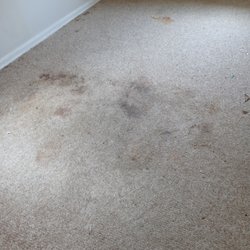Renaissance Carpet Cleaners - Some rough spotting and traffic staining
