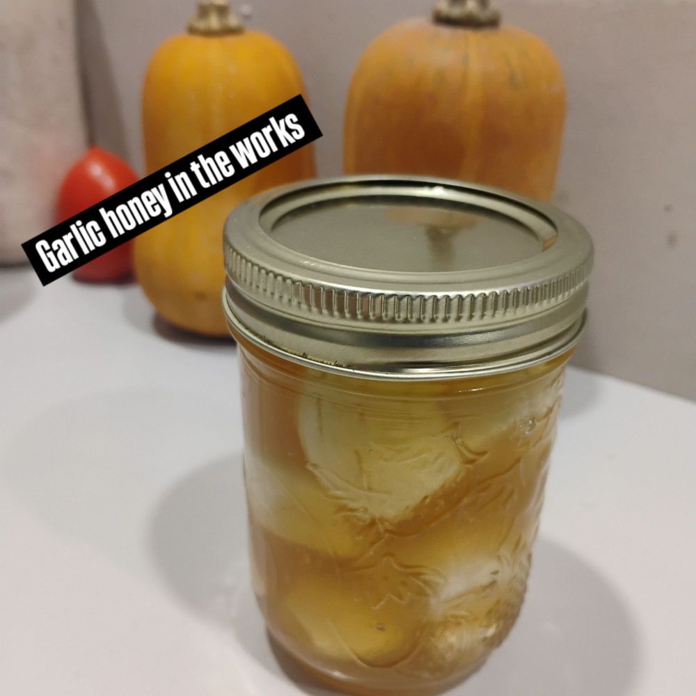 Walnut Hill Farm - beekeeping in Lockport, NY