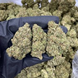 Denali Dispensaries