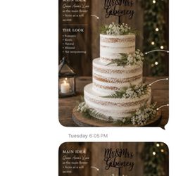 Michelle Ashley Custom Cakes - Proof I did in-fact send the inspiration and got a response.