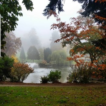 Wright Park - Autumn leaves mixed with fog. Beautiful Autumn combination. - Venues & Event Spaces Near Me - Tacoma, Washington Wright Park - Autumn leaves mixed with fog. Beautiful Autumn combination. - Venues & Event Spaces Near Me - Tacoma, Washington