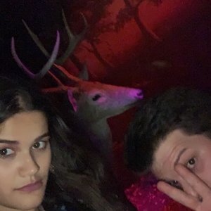 CLIFTON’S REPUBLIC - 3637 Photos & 2041 Reviews - Bars - 648 S Broadway