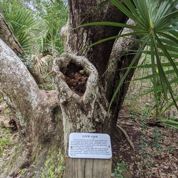 Anastasia State Park - Parks Near Me - Saint Augustine, Florida