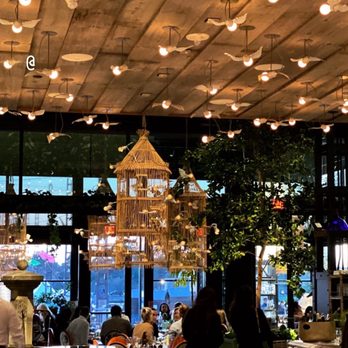 ilili DC - Inside - Lebanese Near Me - Washington, DC, District of Columbia