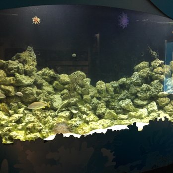 Florida Keys Eco-Discovery Center - Museums Near Me - Key West, Florida