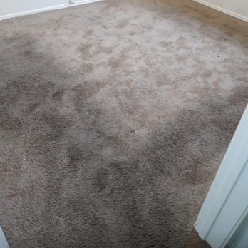 San Diego Steemer - Carpet Cleaning Near Me - San Diego, California San Diego Steemer - Carpet Cleaning Near Me - San Diego, California