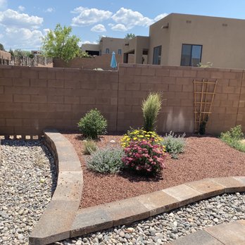 Desert Rose Landscape & Maintenance - a desert rose garden - Landscaping Near Me