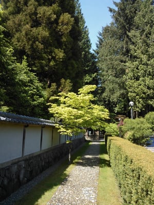 Nitobe Memorial Garden by null